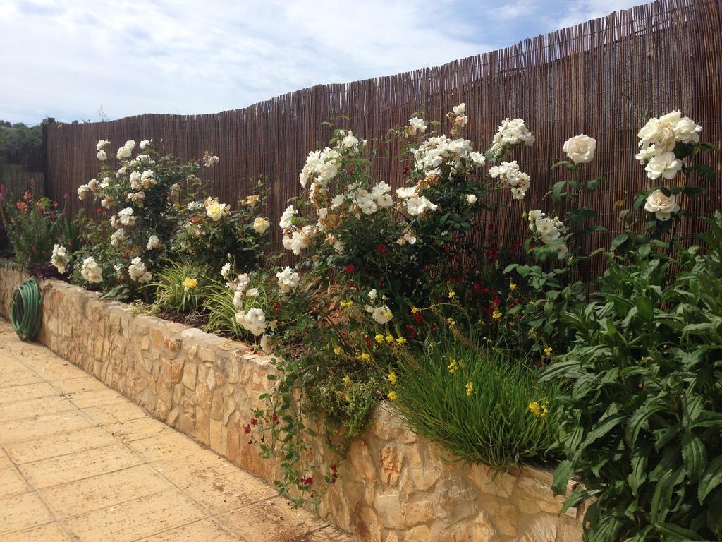 Casa Paula Villas - Private Heatable Pool For Each House لاغوس المظهر الخارجي الصورة